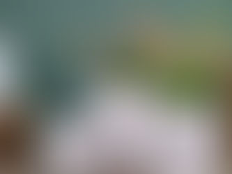 Do Self-Watering Planters Cause Root Rot?