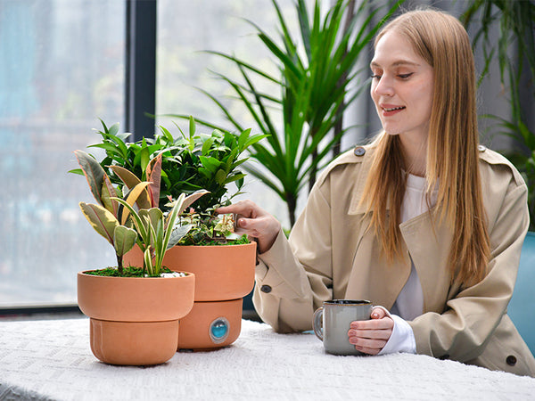 Self-Watering Plant Pot