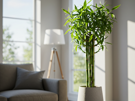 Bamboo Indoors: The Ultimate Guide to Growing Elegant Bamboo Plants at Home