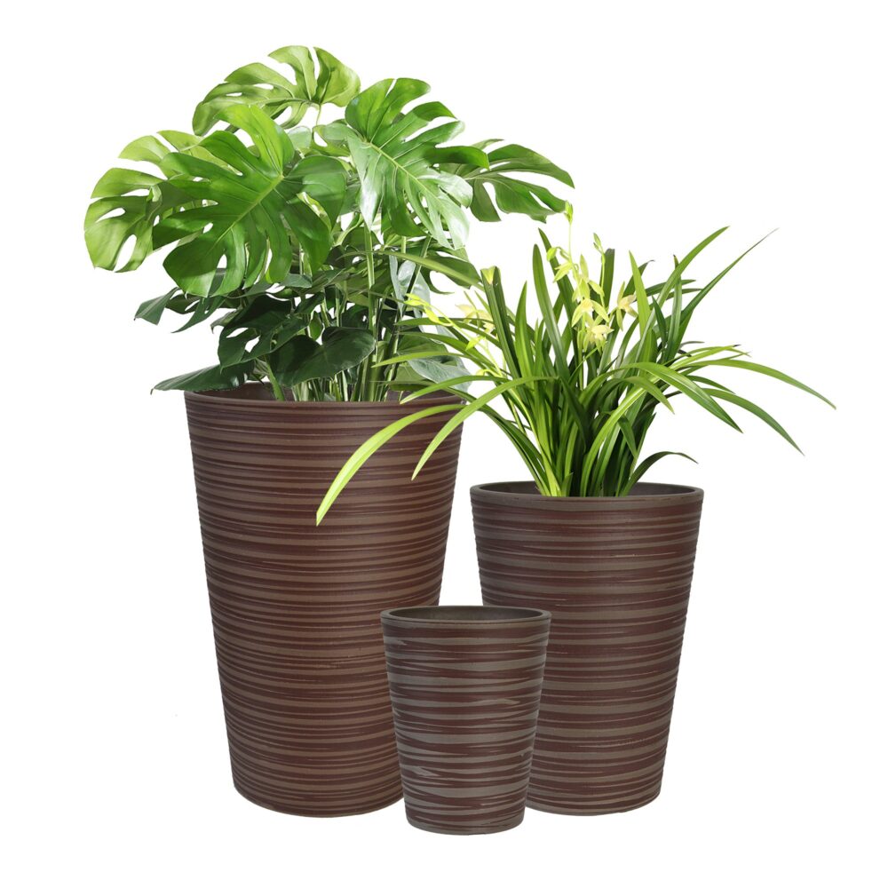 Modern Plant Pots