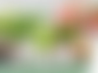 GreenShip Self Watering Pots for Indoor Plants, 6 inch 8 inch 10 inch Set of 3 Planter, White Modern Decorative Flower Pots