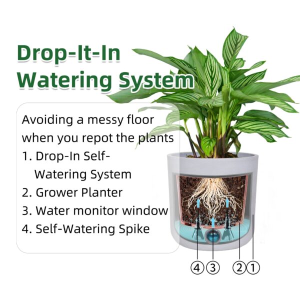 Self-Watering Pots