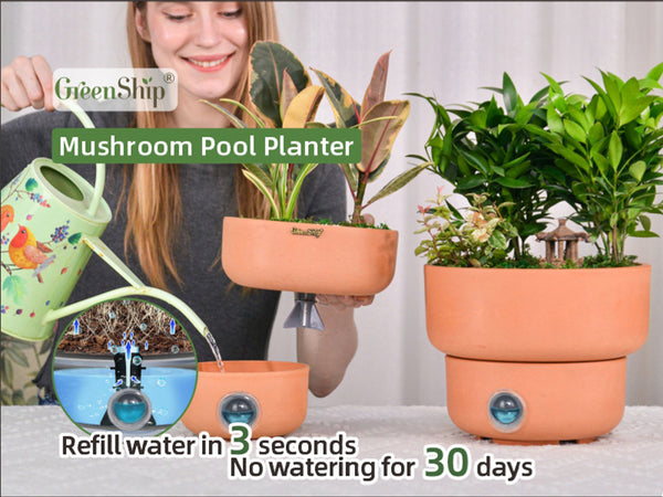 Self-Watering Plant Pot