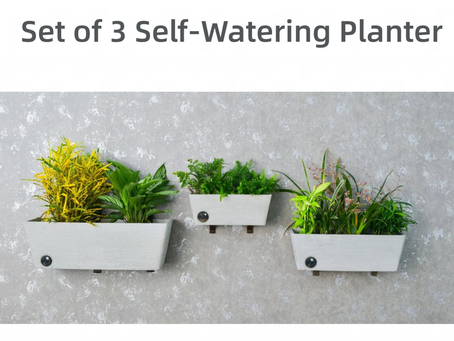 Wall Mounted Flowerpot丨Self-Watering Plant Pots for Indoor Plants, 10 14 18 inch Set of 3 Planter , Modern Decorative Flower Pots