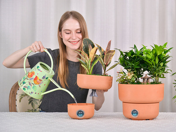 Self-Watering Plant Pot