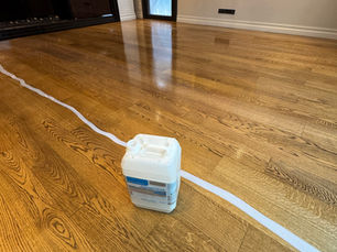 avcılar sistre cila 