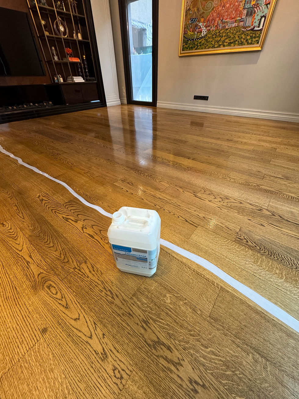 avcılar sistre cila