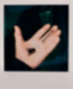 Fly In Hand