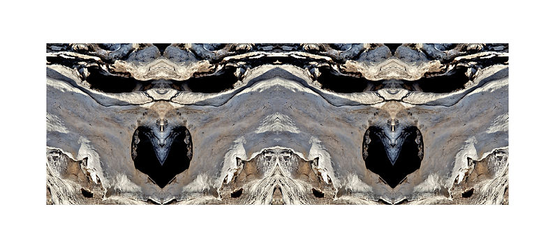 12 Roots 62_24x11_3000.jpg