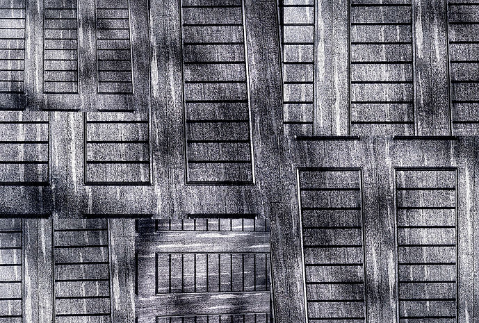 Grayscale 3 copy.jpeg