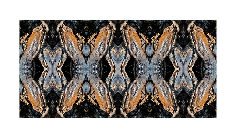 9 July1430(2)_12x7_2mat_4.jpg