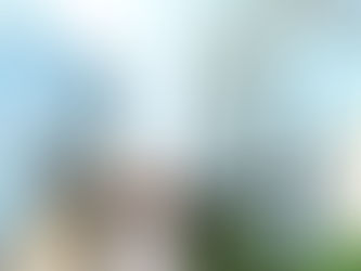 Fiscalização de síndicos por CFA é inconstitucional