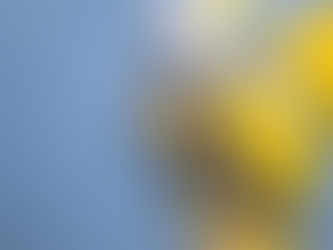 🚫 Lo que NO puedes importar desde EE.UU. a Colombia (y cómo evitar problemas con tu casillero)