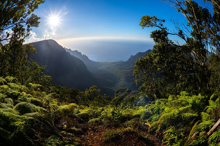 Na Pali Coast, Kauai Hawaii .jpg