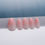 Thumbnail: Dawn Blush
