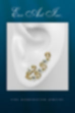EARPIN 125