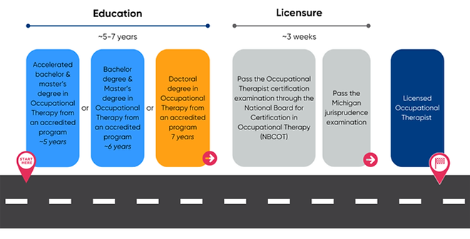 2025-Occupational Therapist Pathway.png