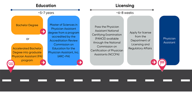 Physician Assistant Pathway.png
