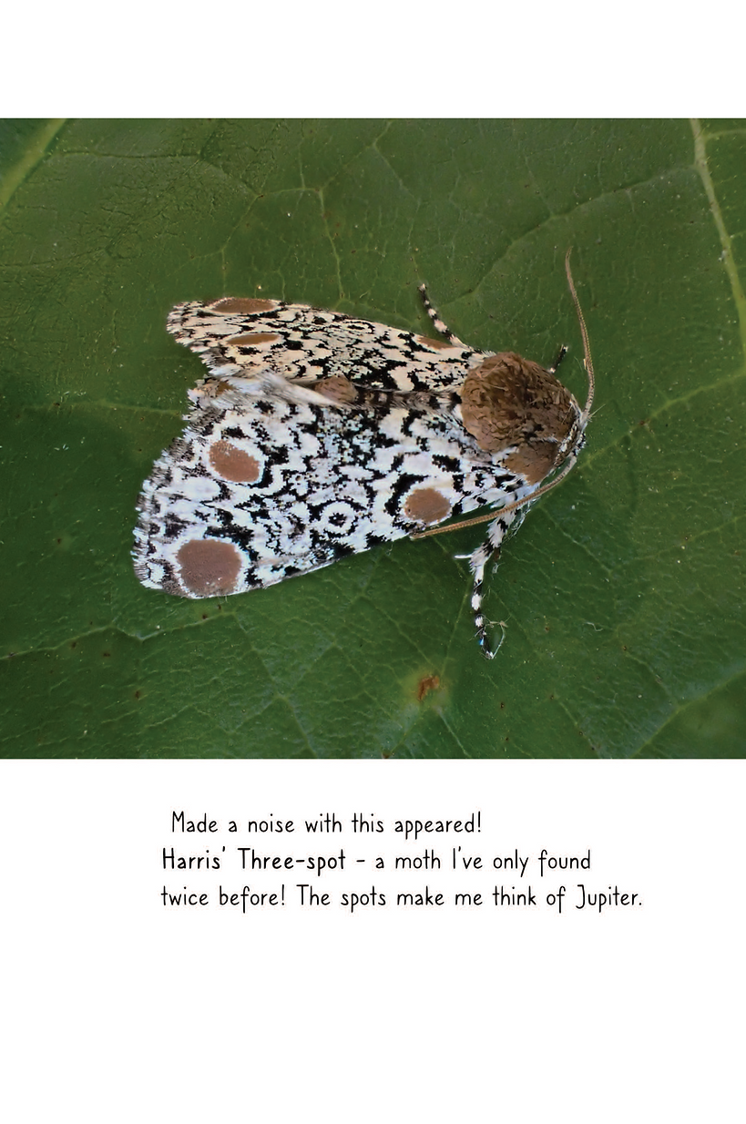 Untitled Extract Pages91.tiff