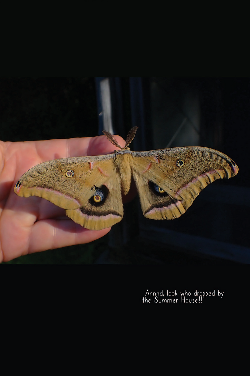 Untitled Extract Pages42.tiff