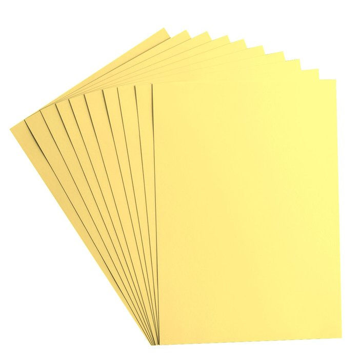 Miniature : Cardstock Lisse Florence - Asparagus - A4 - 10 feuilles de 216g