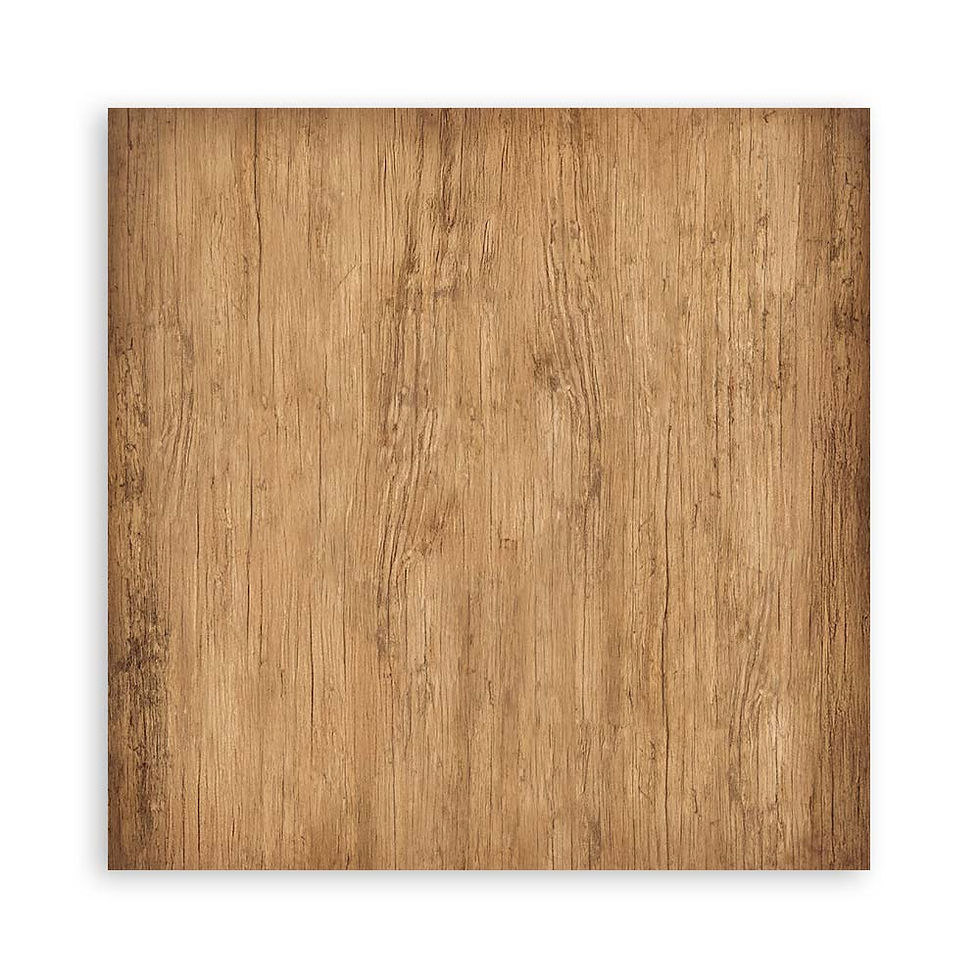 Miniature : Collection Hidden Grove - Stamperia - 22 pages 1 face de 30x30