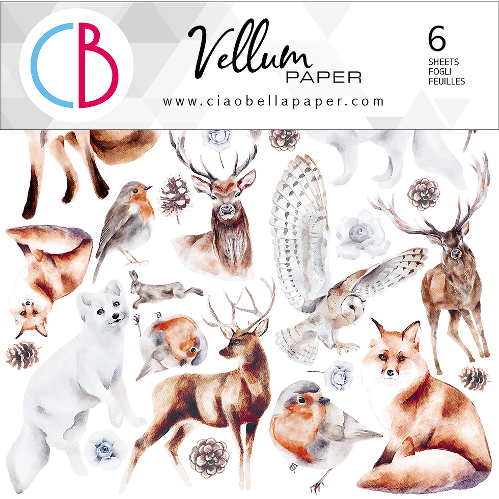 Collection Winter Journey - Vellum - Ciao Bella - 6 pages de 15x15