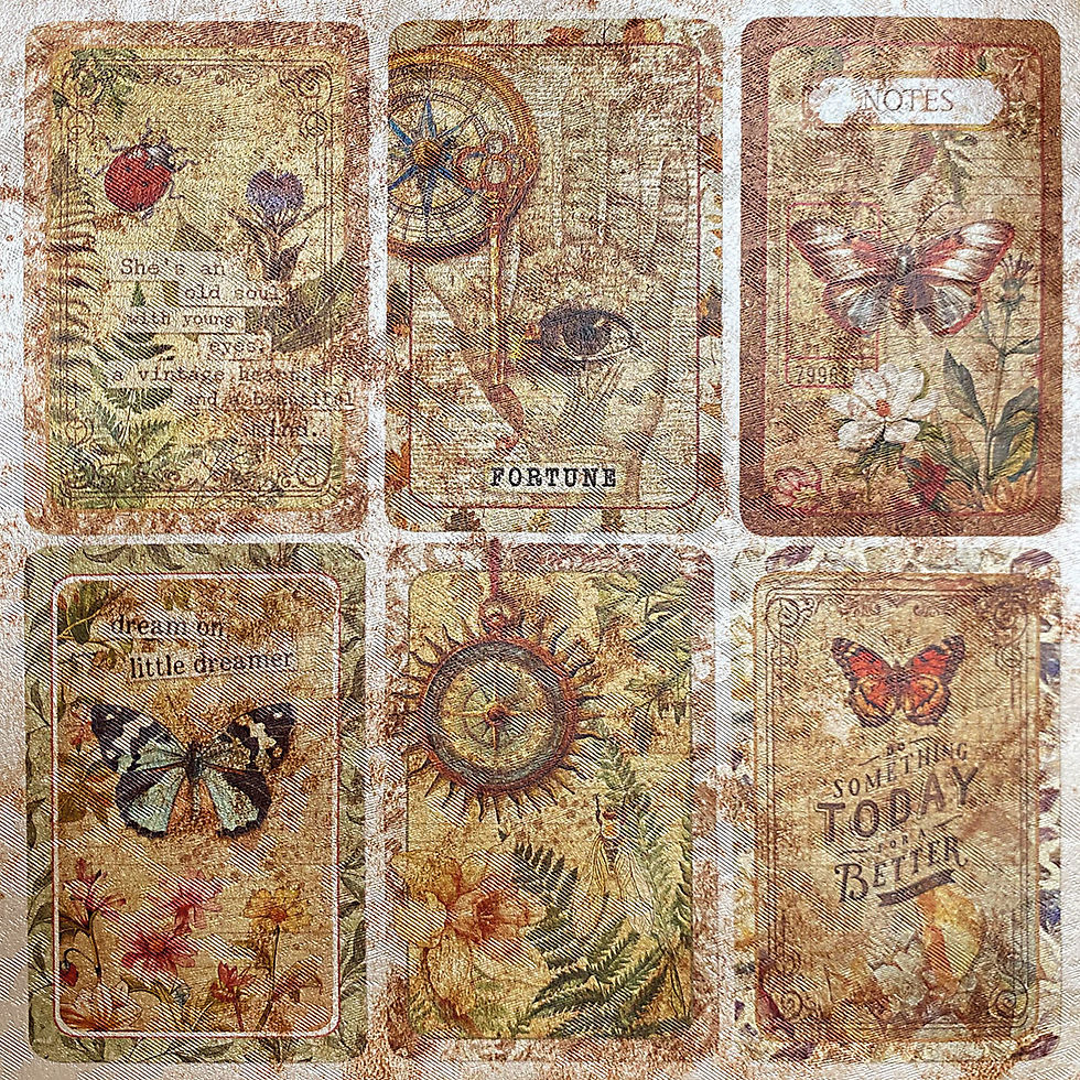 Miniature : Collection Cabinet of Curiosities - Deluxe Paper - Ciao Bella - 5 pages de 15x15