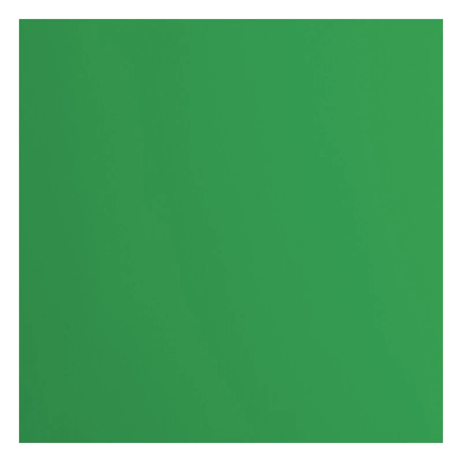 Cardstock Lisse Florence - Holly - 30.5x30.5 - 20 feuilles de 216g