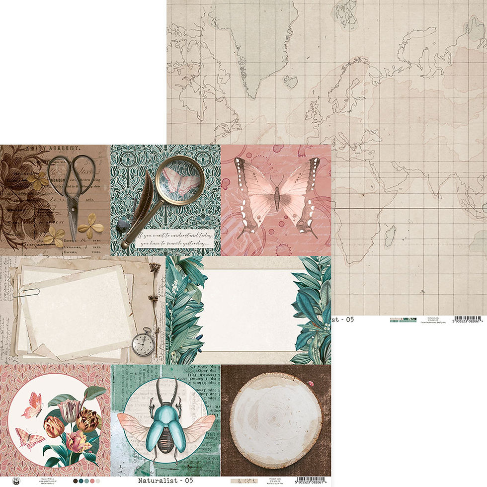 Miniature : Collection Naturalist - Piatek P13 - 12 pages 30x30