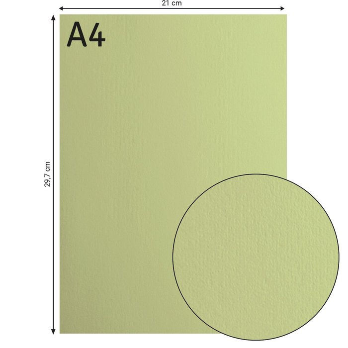 Miniature : Cardstock Lisse Florence - Anise - A4 - 10 feuilles de 216g