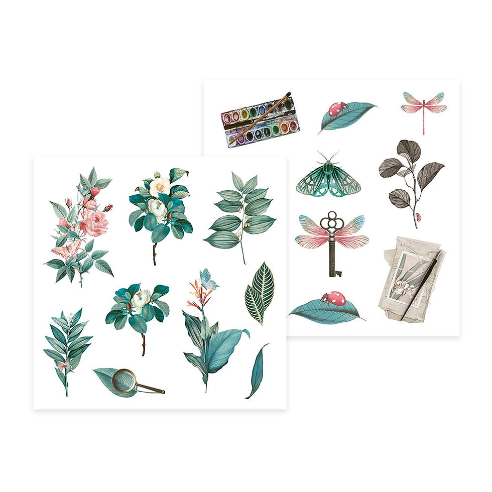 Miniature : Collection Naturalist  - Piatek P13 - 24 pages 15x15