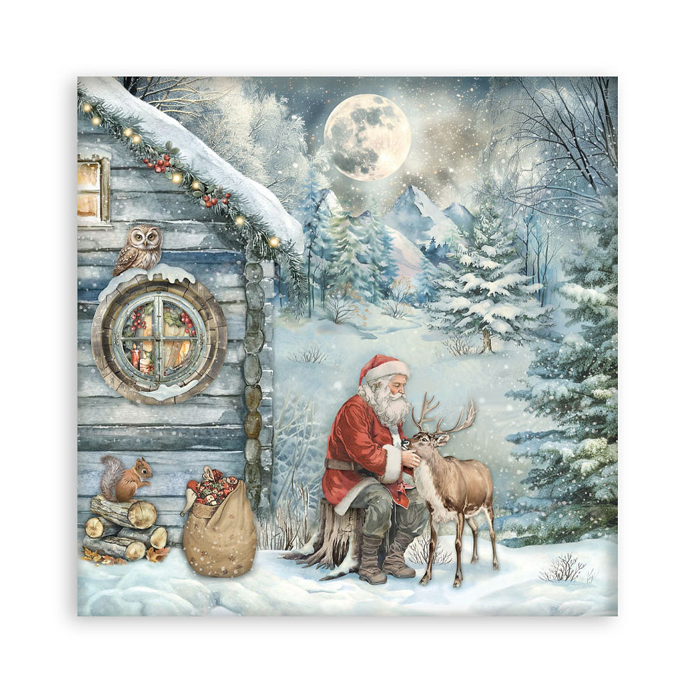 Miniature : Collection The Owl's House - Stamperia - 22 pages 1 face de 20x20