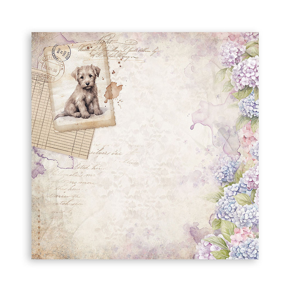 Miniature : Collection Quiet Days - Stamperia - 22 pages 1 face de 30x30