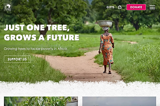 Tree Aid – environmental charity