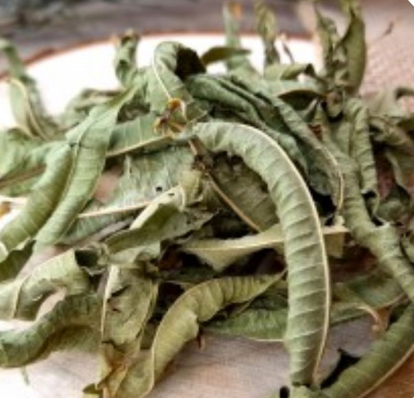 Menthe poivrée