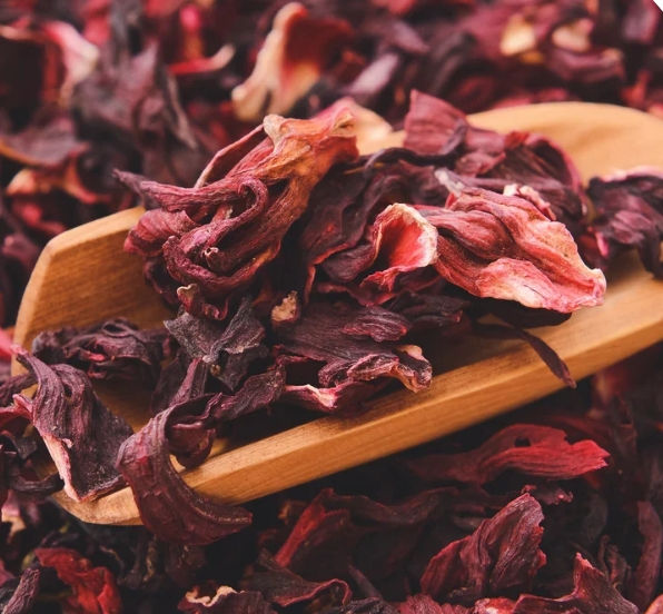 Hibiscus