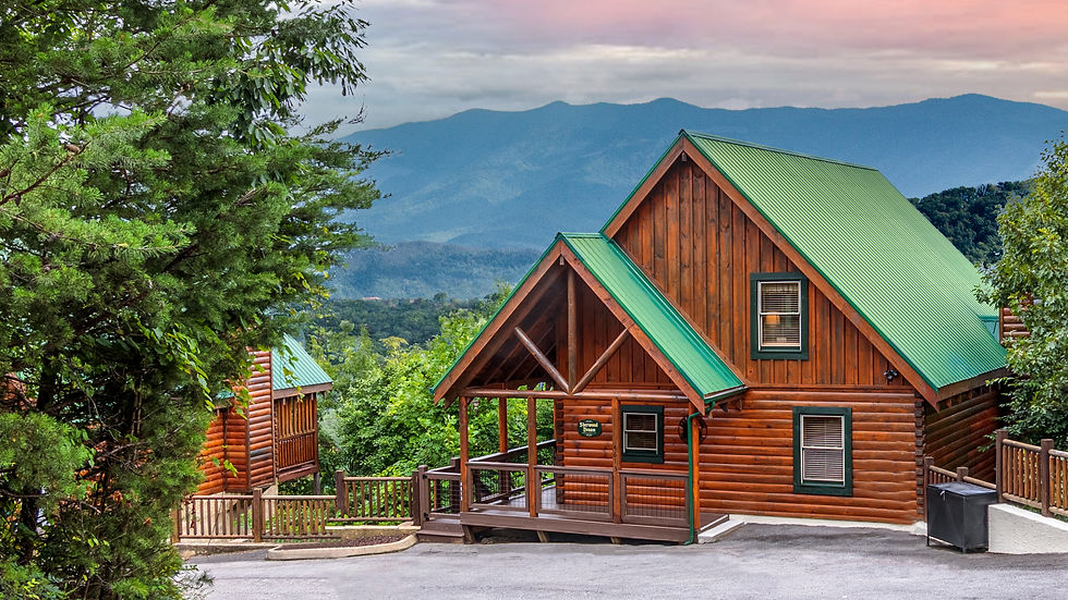 Welcome to Sherwood Dream!