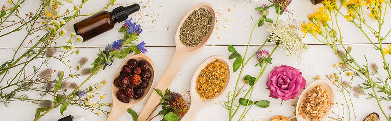 Plantes phytothérapie naturopathie remèdes naturels santé naturelle tisanes médecine douce
