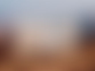 Creating your own life