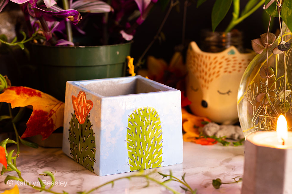 Thumbnail: Square Planter Pot