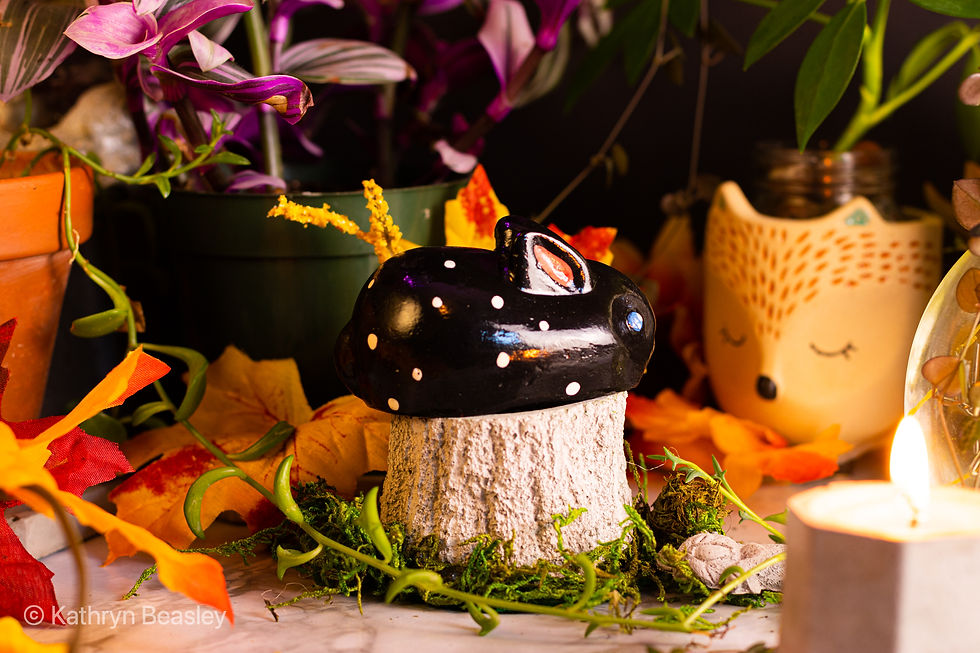 Thumbnail: Plant Bunny Buddies