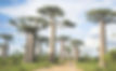 download (2)_edited.jpg