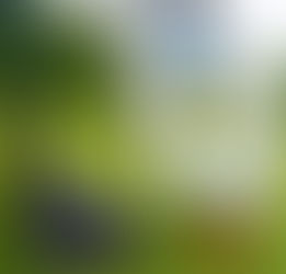 Golfmästerskap för bowlare!