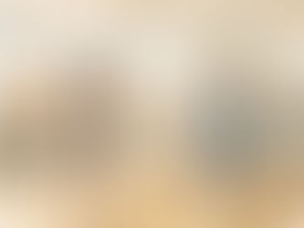 Looking Closely: A Lesson in Literal Reflection