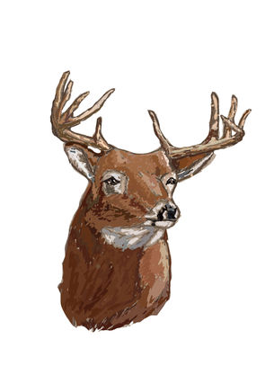draw 2.jpg