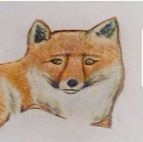 fox.jpg