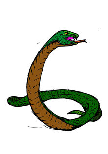 Illustrator Colour Snake.jpg