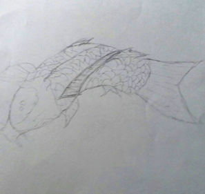 fish.jpg