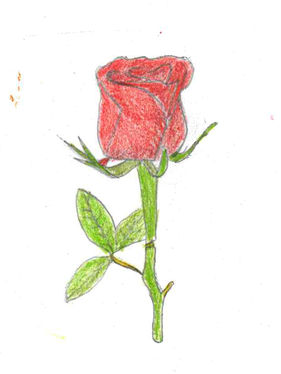 scan_ashley.whitman_2018-02-20-14-39-02-1.jpg